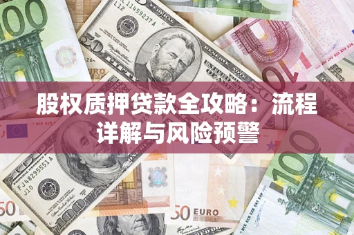 北京股权质押贷款全攻略：流程详解与风险预警
