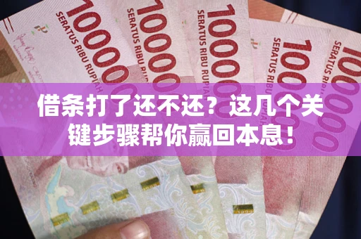 北京借条打了还不还？这几个关键步骤帮你赢回本息！