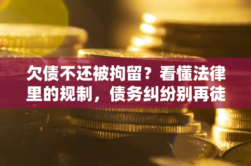 北京欠债不还被拘留？看懂法律里的规制，债务纠纷别再徒劳奔波