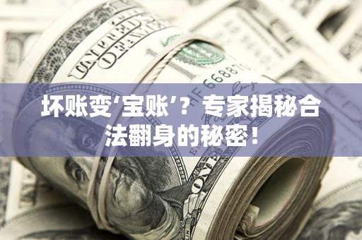 北京坏账变‘宝账’？专家揭秘合法翻身的秘密！