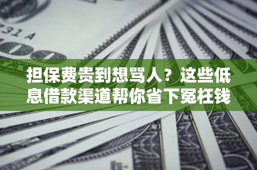北京担保费贵到想骂人？这些低息借款渠道帮你省下冤枉钱