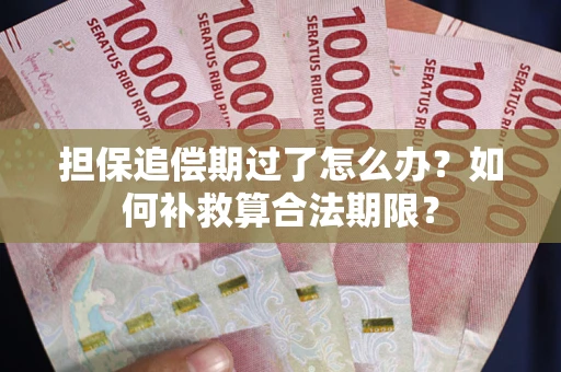 北京担保追偿期过了怎么办？如何补救算合法期限？