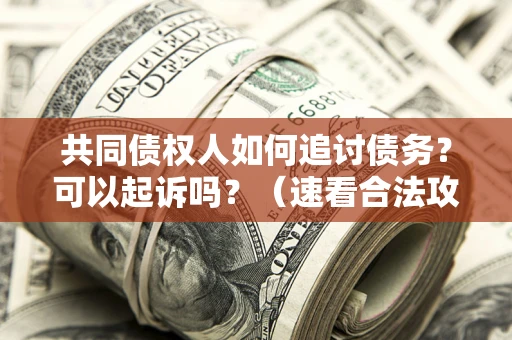 北京共同债权人如何追讨债务？可以起诉吗？（速看合法攻略）